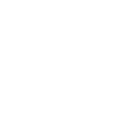 linkedin icon