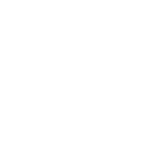 twitter icon